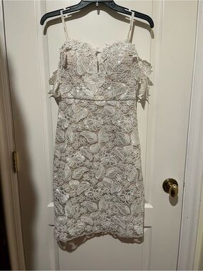 Embroidered Lace Mini Dress in Ivory